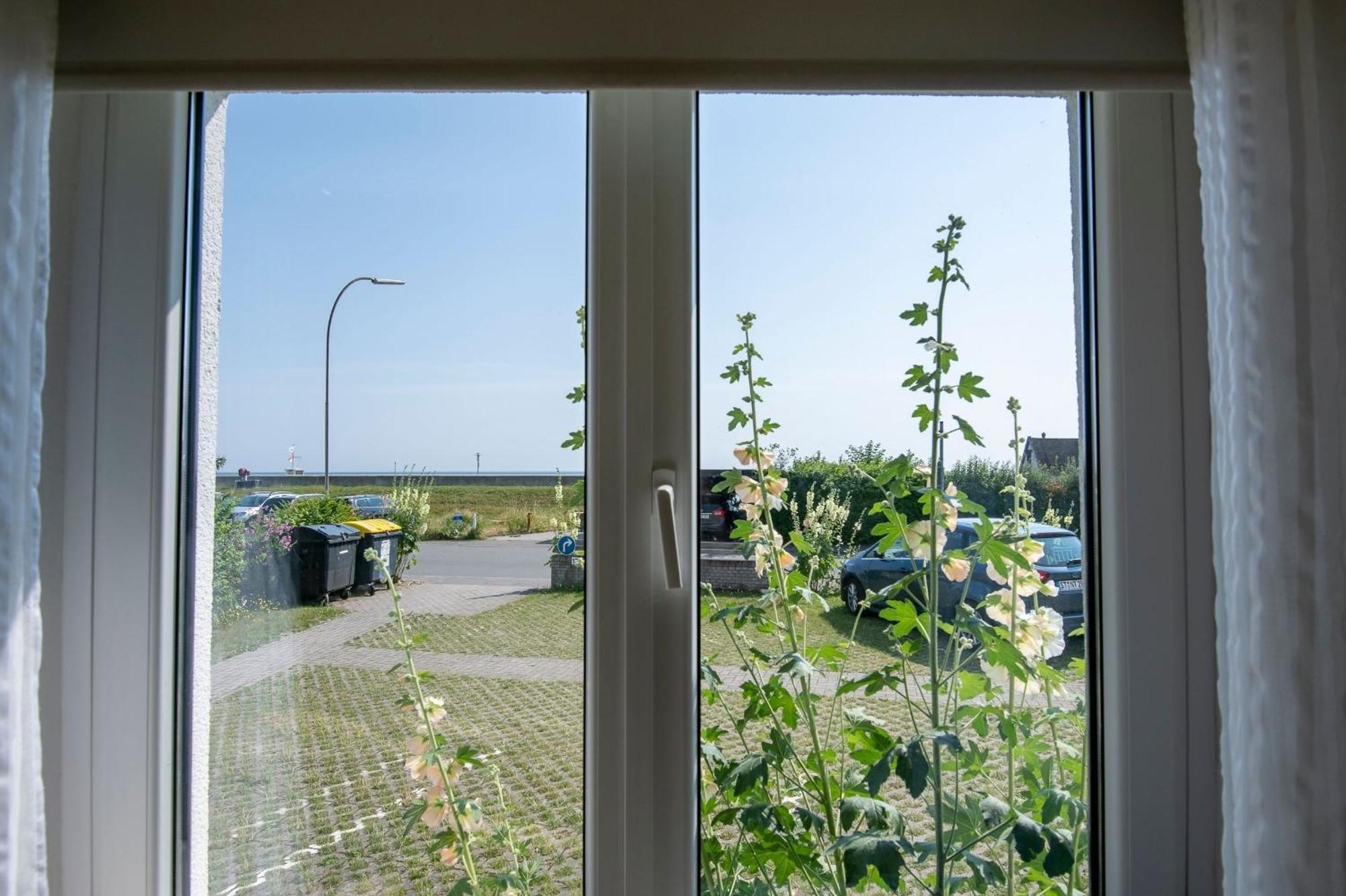 Haus An Der See Seenelke 다메 외부 사진